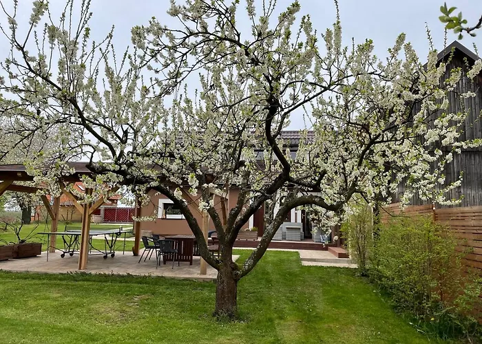 Apartmany U Lipy