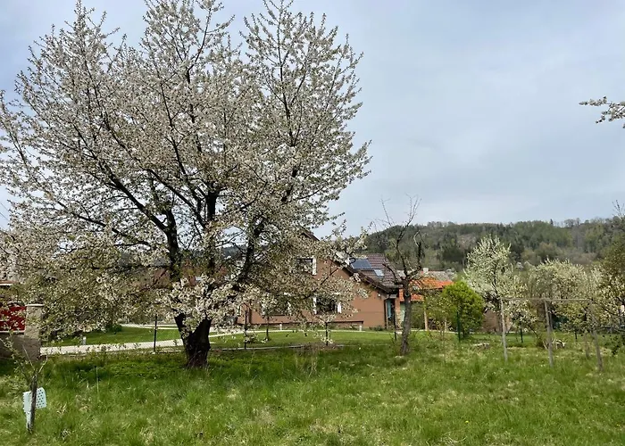 Apartmány U Lípy