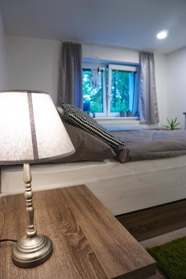 U Lipy Apartment