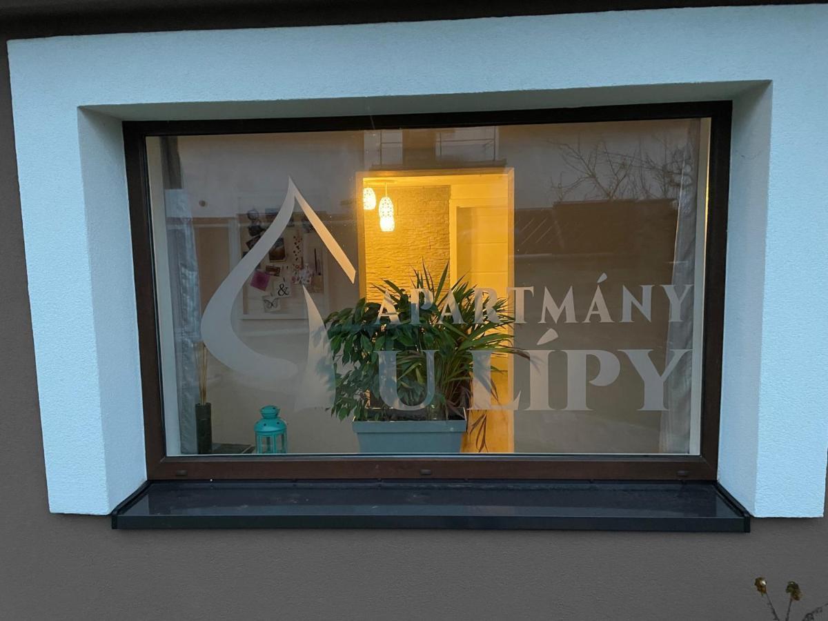 Apartment U Lipy *