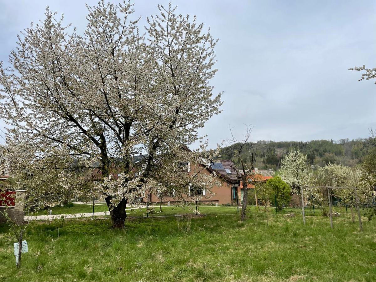 U Lípy Apartmán